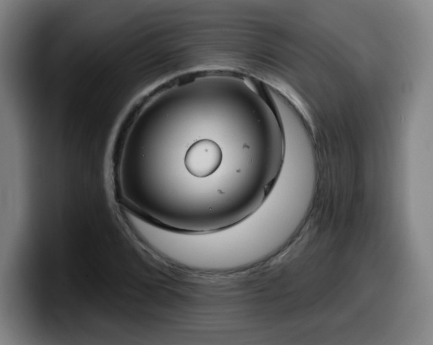 X0000099951072200805301232