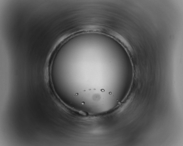 X0000099951075200805301232