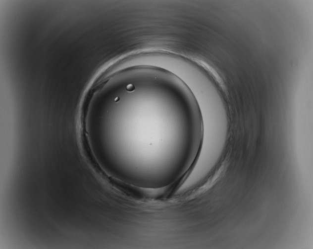 X0000099951077200805301232