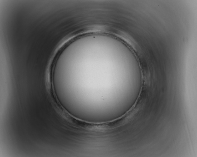 X0000099951078200805301232