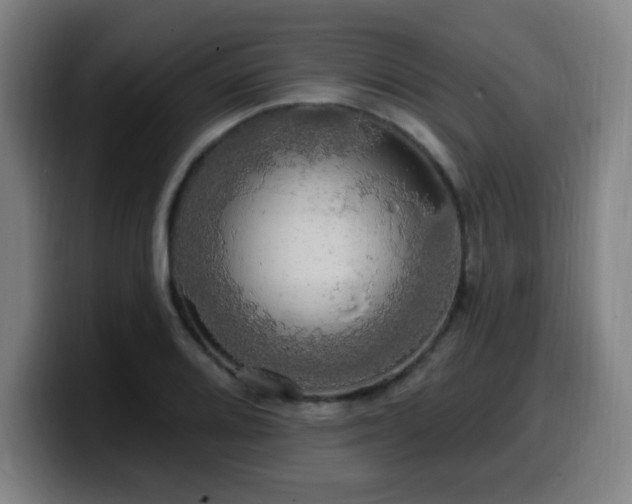 X0000099951080200805301232
