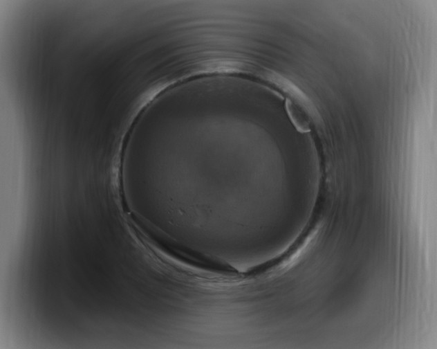 X0000099951081200805301232