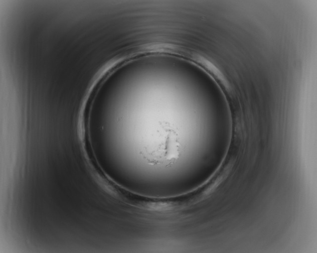 X0000099951082200805301232