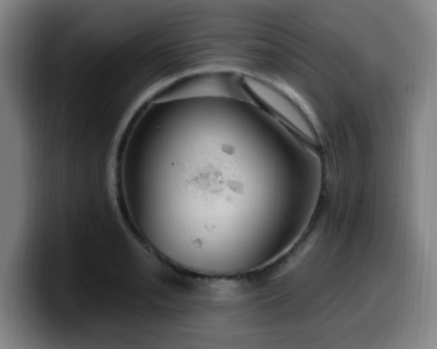 X0000099951085200805301232