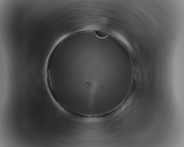 X0000099951087200805301232