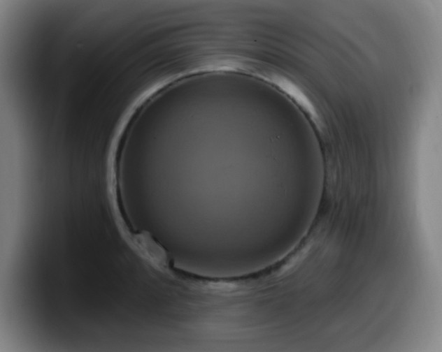 X0000099951088200805301232