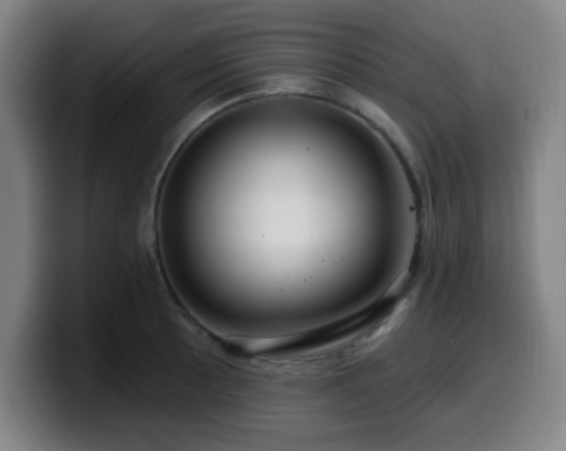 X0000099951089200805301232