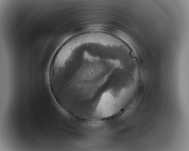 X0000099951090200805301232