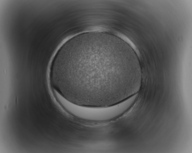 X0000099951091200805301232