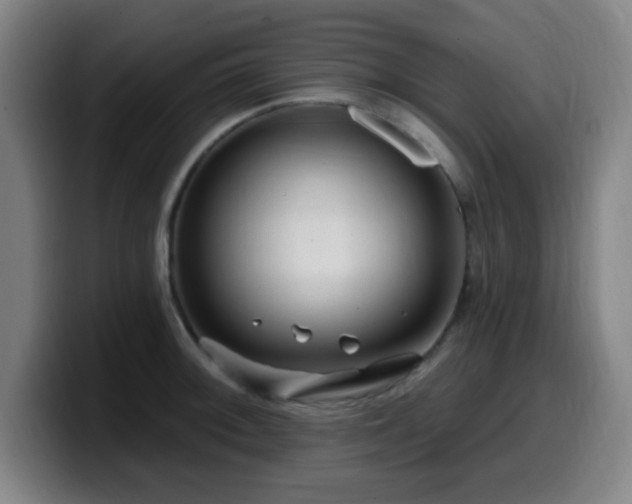X0000099951092200805301232