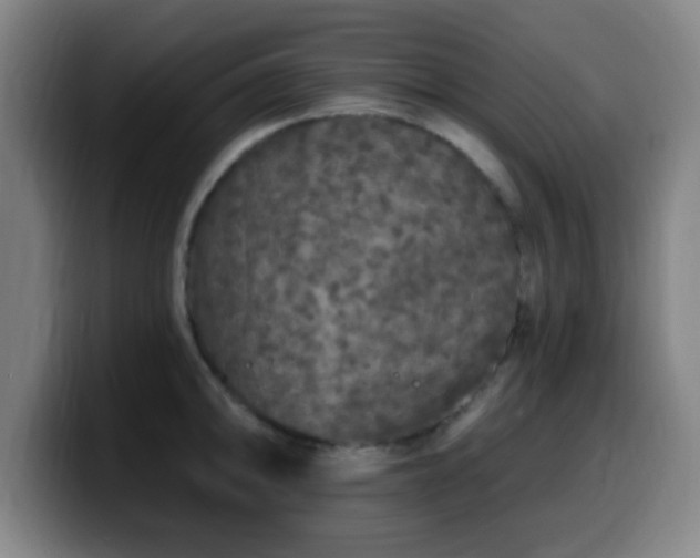 X0000099951094200805301232