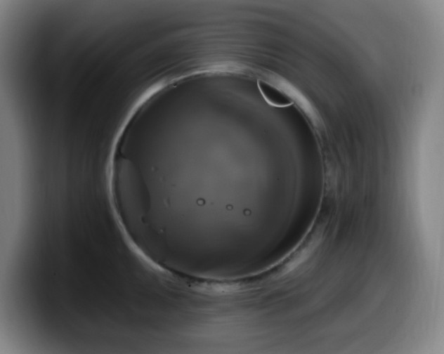 X0000099951095200805301232