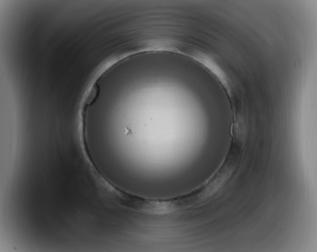 X0000099951096200805301232