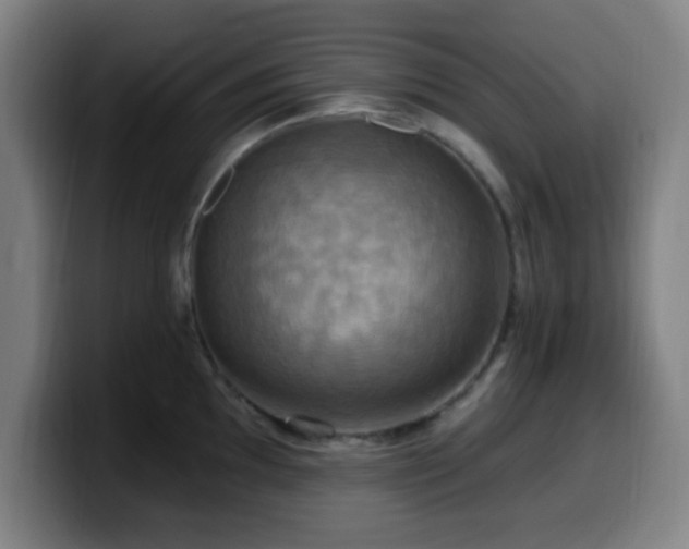 X0000099951097200805301232