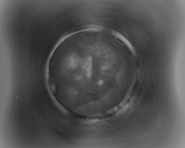 X0000099951099200805301232
