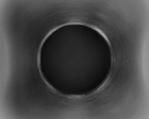 X0000099951101200805301231