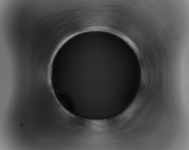 X0000099951102200805301231