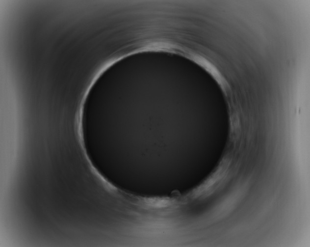 X0000099951103200805301231