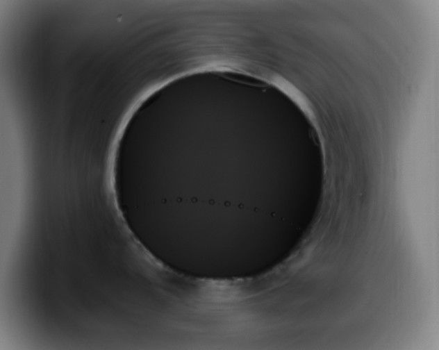 X0000099951104200805301231