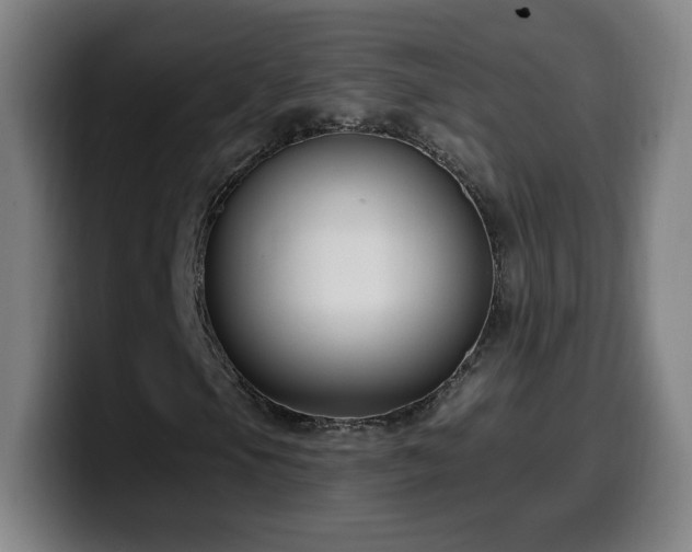 X0000099951105200805301231