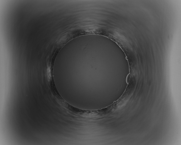 X0000099951106200805301231