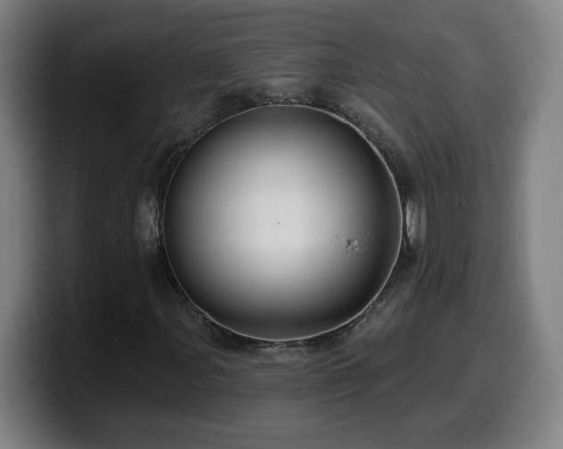 X0000099951107200805301231