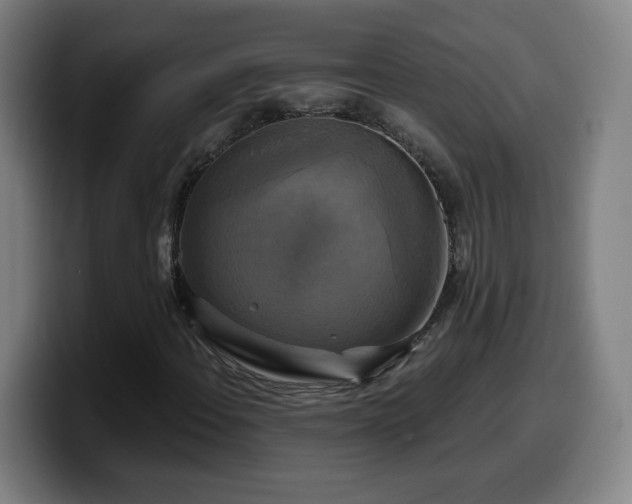 X0000099951108200805301231