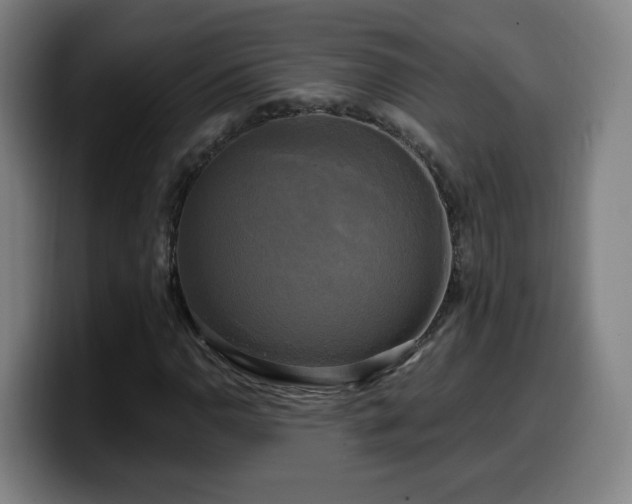 X0000099951110200805301231