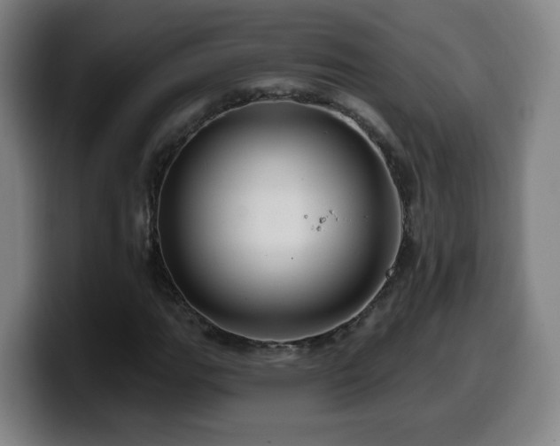 X0000099951111200805301231