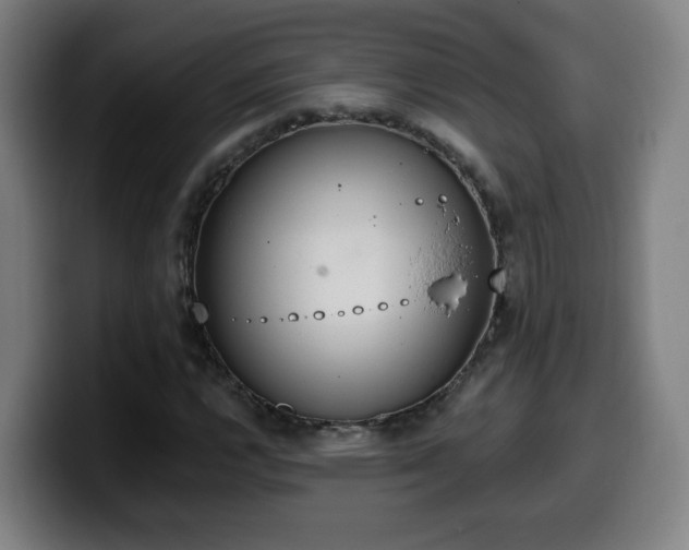 X0000099951112200805301231