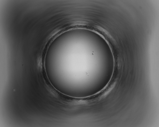 X0000099951113200805301231