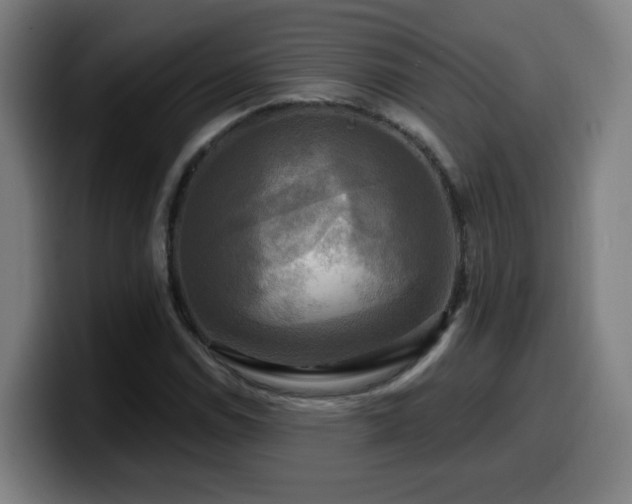 X0000099951114200805301231