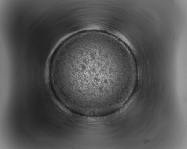 X0000099951116200805301231