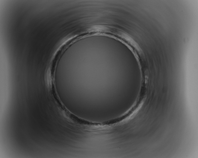 X0000099951117200805301231