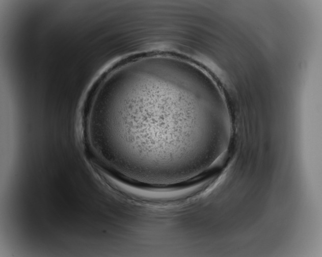 X0000099951118200805301231