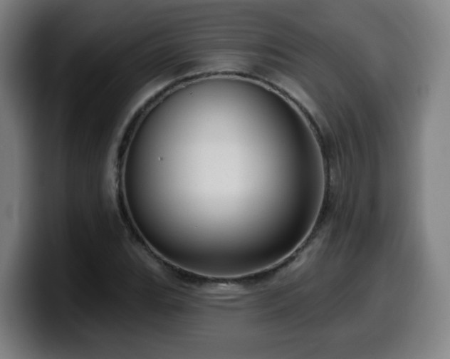X0000099951119200805301231