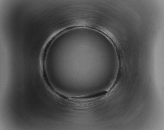 X0000099951120200805301231