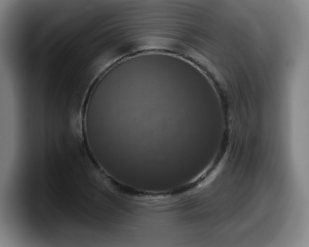X0000099951121200805301231
