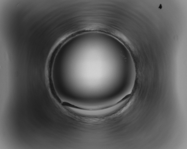 X0000099951122200805301231