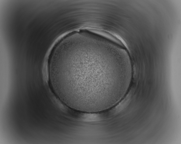 X0000099951123200805301231