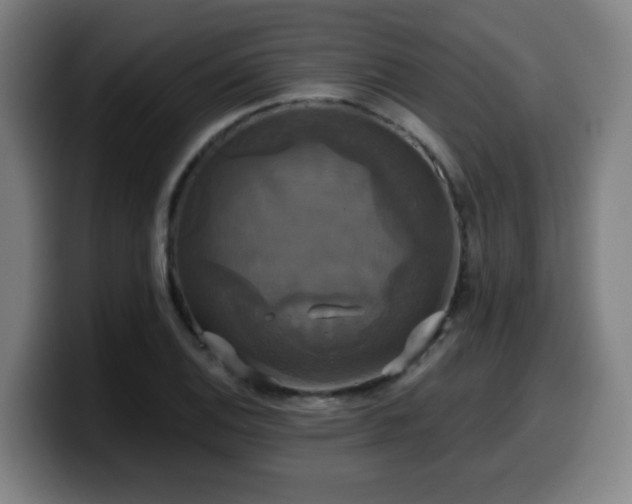 X0000099951124200805301231