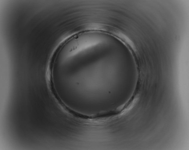 X0000099951125200805301231