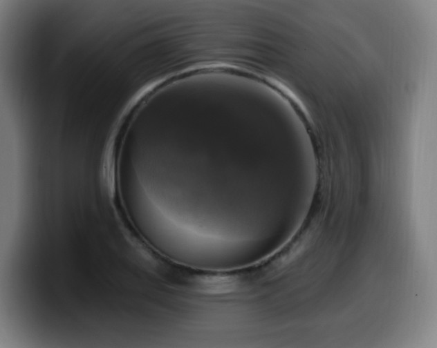 X0000099951127200805301231