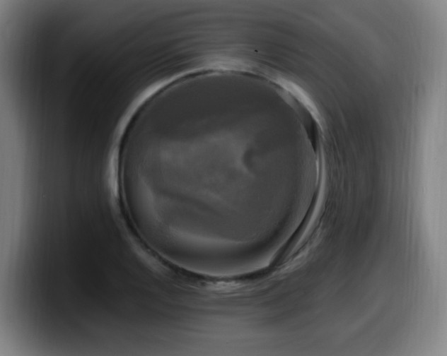 X0000099951128200805301231