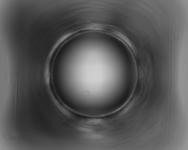 X0000099951131200805301231