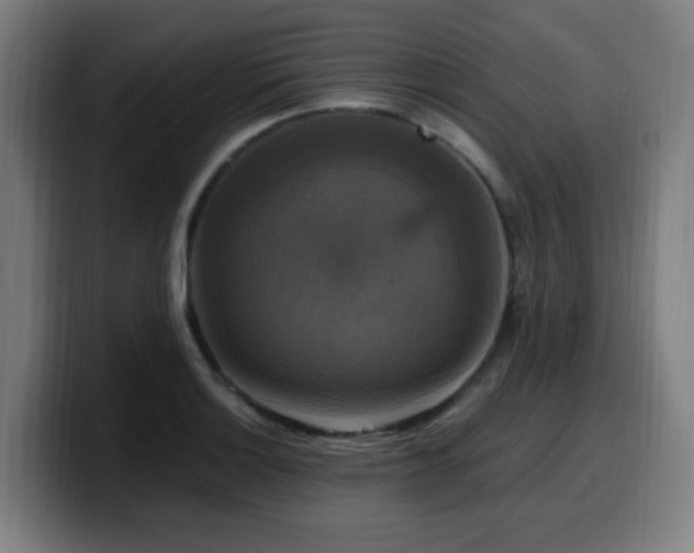 X0000099951132200805301231