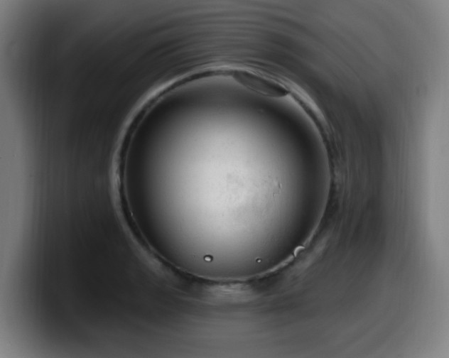 X0000099951133200805301231