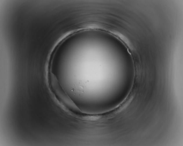 X0000099951134200805301231