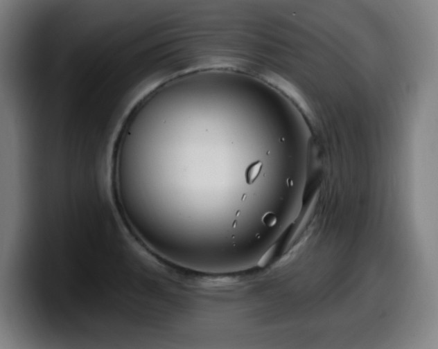 X0000099951135200805301231