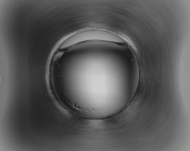 X0000099951136200805301231